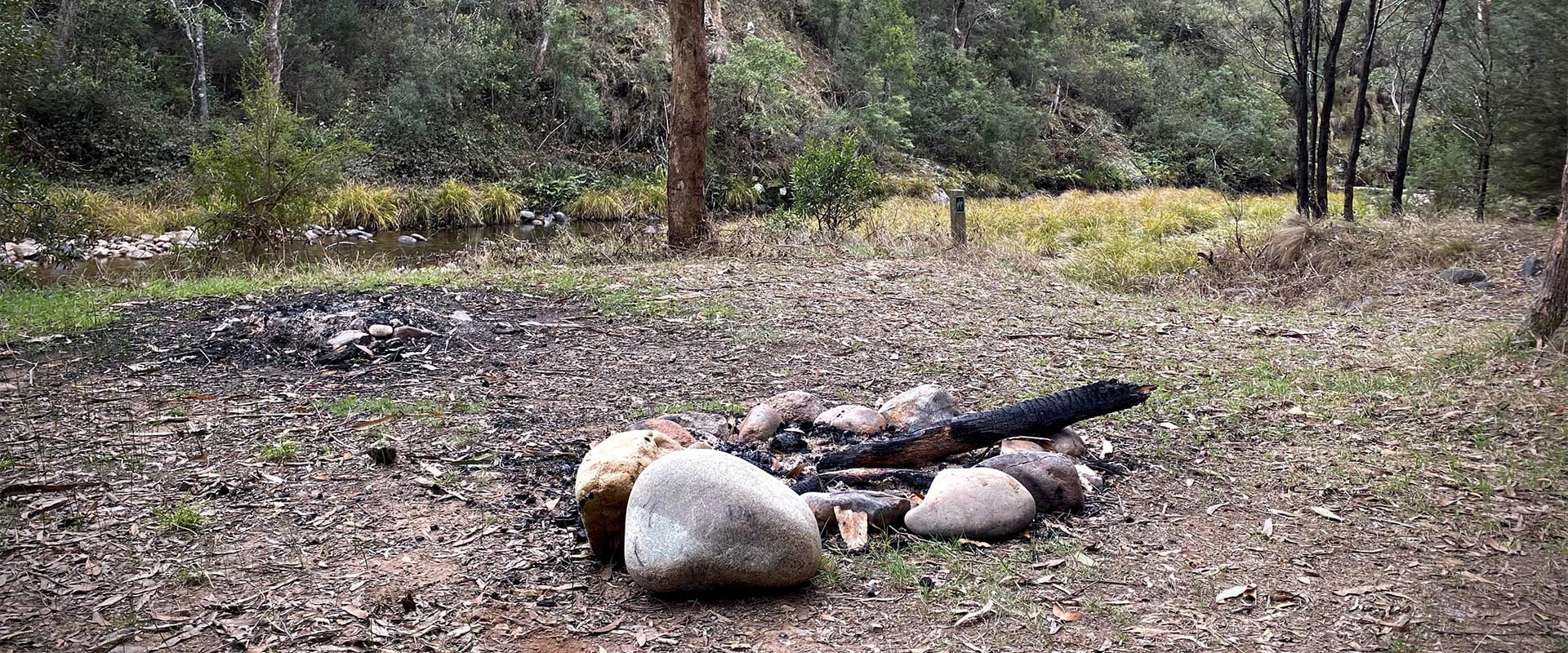 Unlit fire pit at a campground with trees in the background.