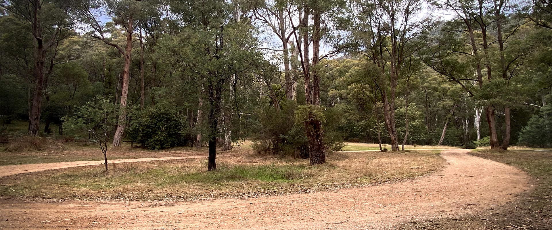 View of an access road running through a camping area.