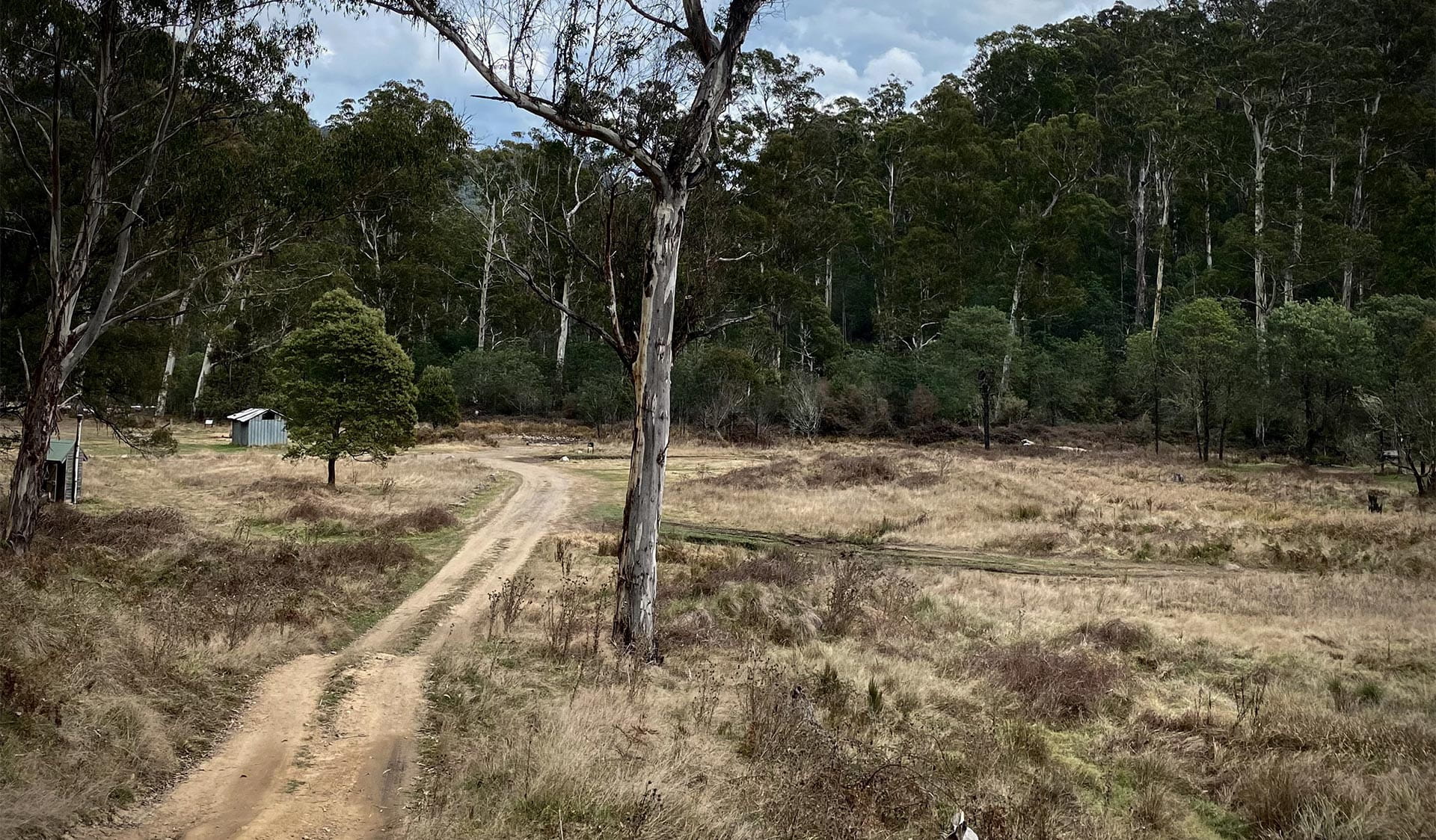 View of road leading to a camping area surrounded by trees.