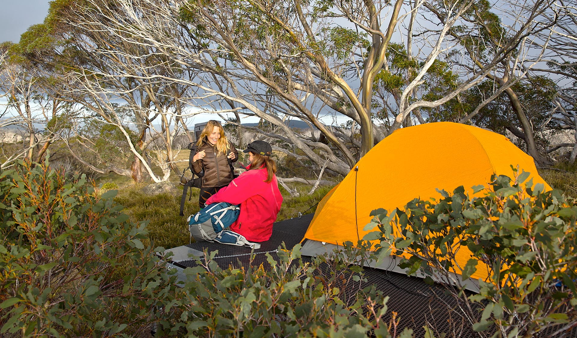 Two women chat next to an orange tent among snow gums in the Alpine National Park