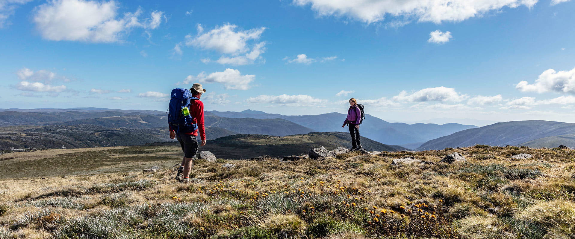 Two hikers walk across an alpine landscape taking in breathtaking views of the surrounding mountains and national park
