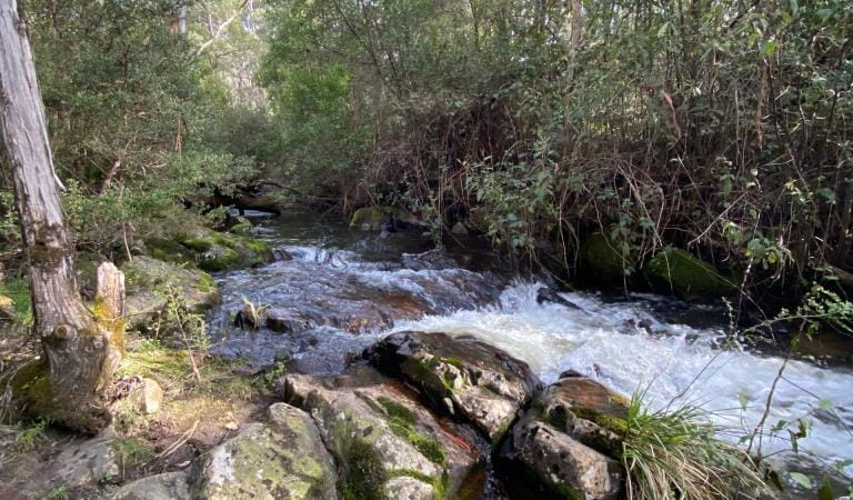 Stringybark Creek at Stringybark Camping Reserve. 