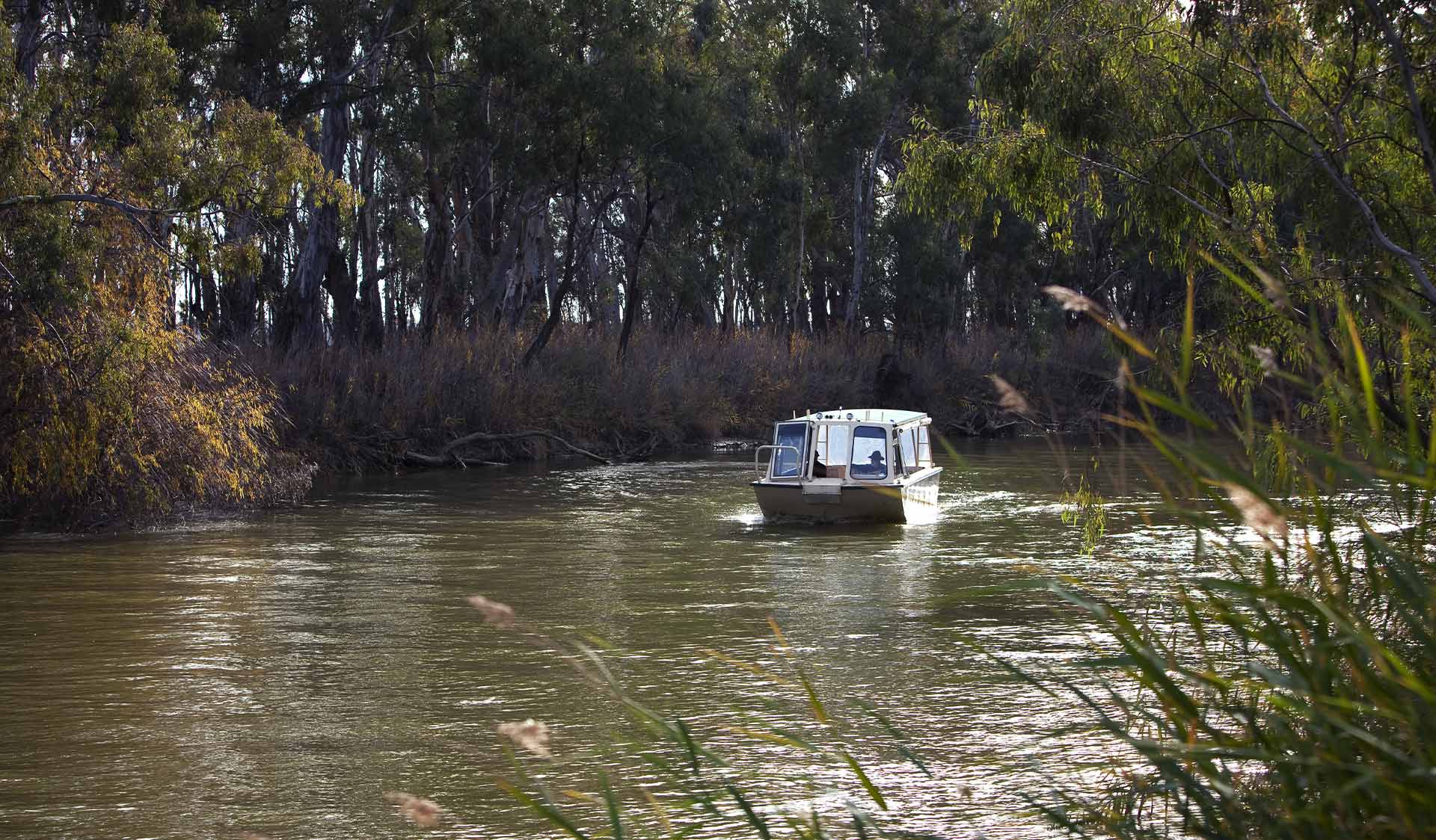 A river cruise boat on the Murray River at Barmah National Park.