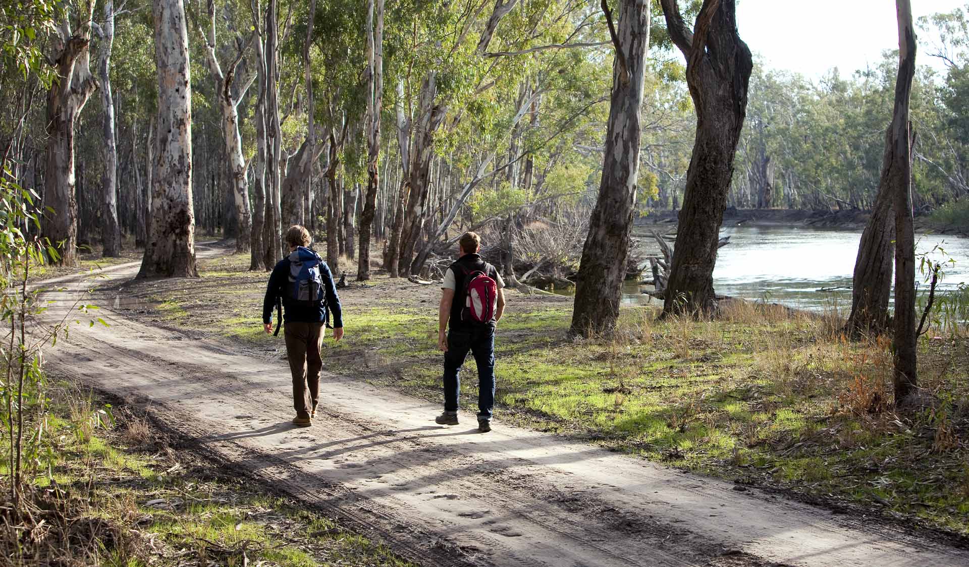 Two walkers along a dirt road next to the Murray River in Barmah National Park.