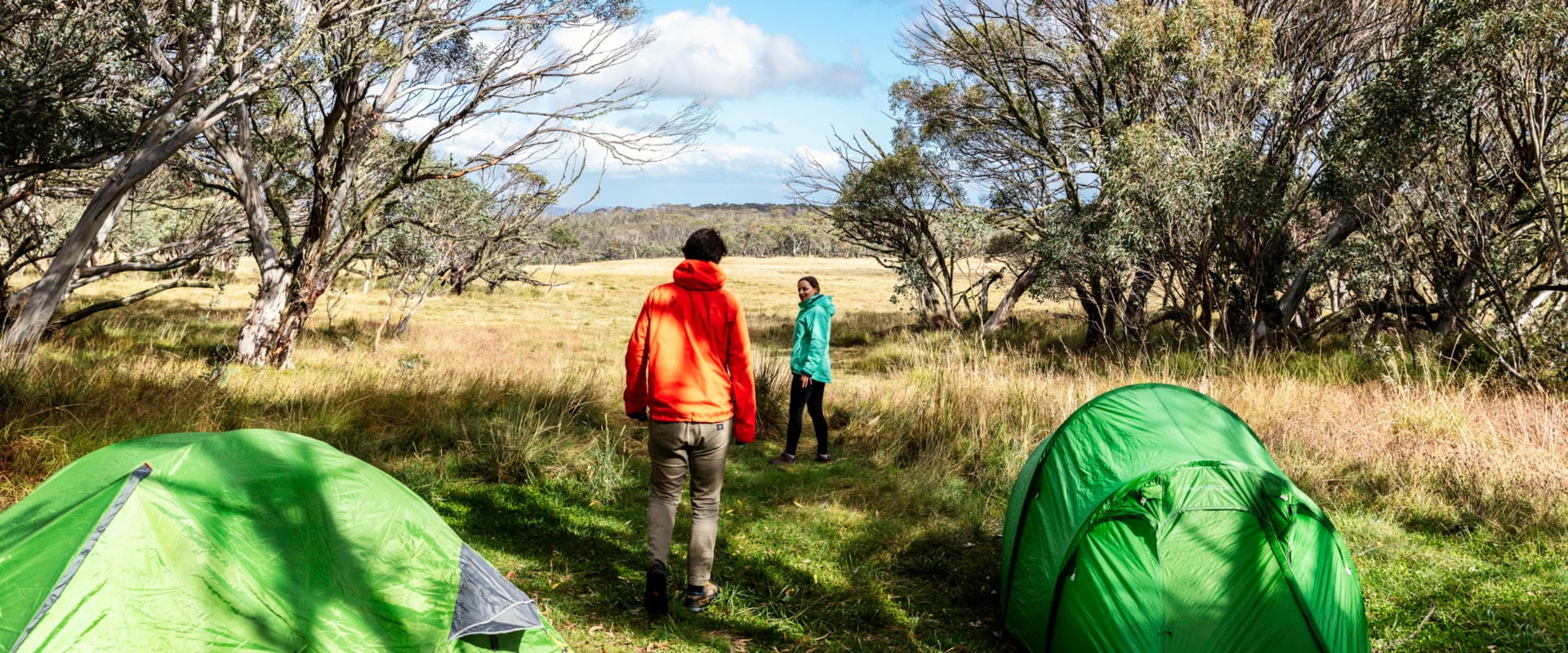 A man and woman standing with their camping tents  overlooking an open, grassy field with a dense tree line in the distance.