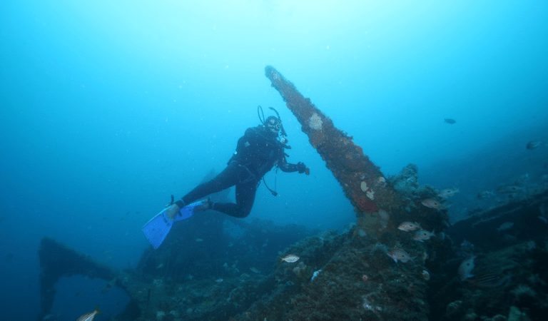 A diver investigates the large four bladed propeller from the S.S. Auckland shipwreck in Beware Reef Marine Sanctuary