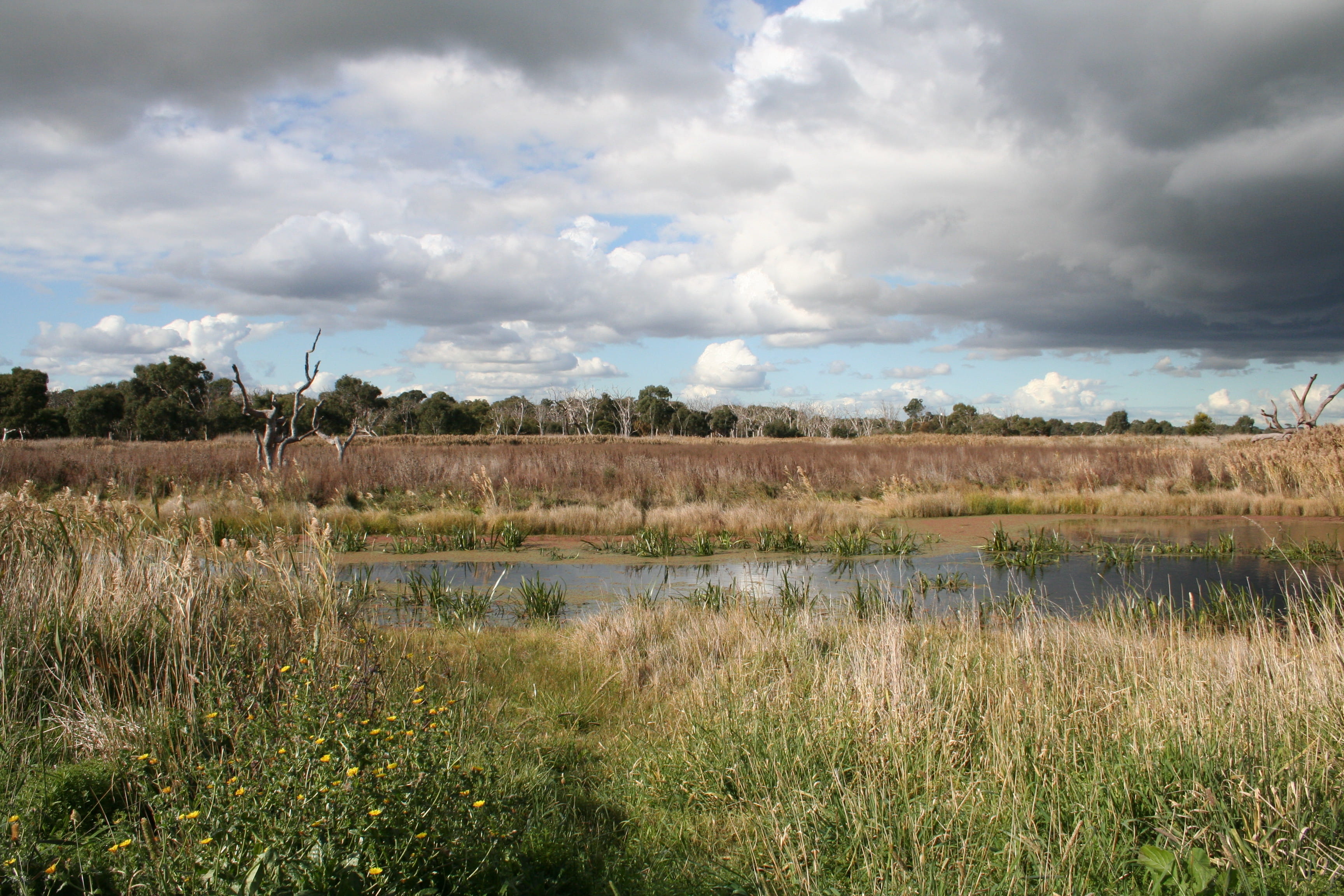A body of water in the middle of a rugged bushland landscape. Yellow grass stands in the foreground. 