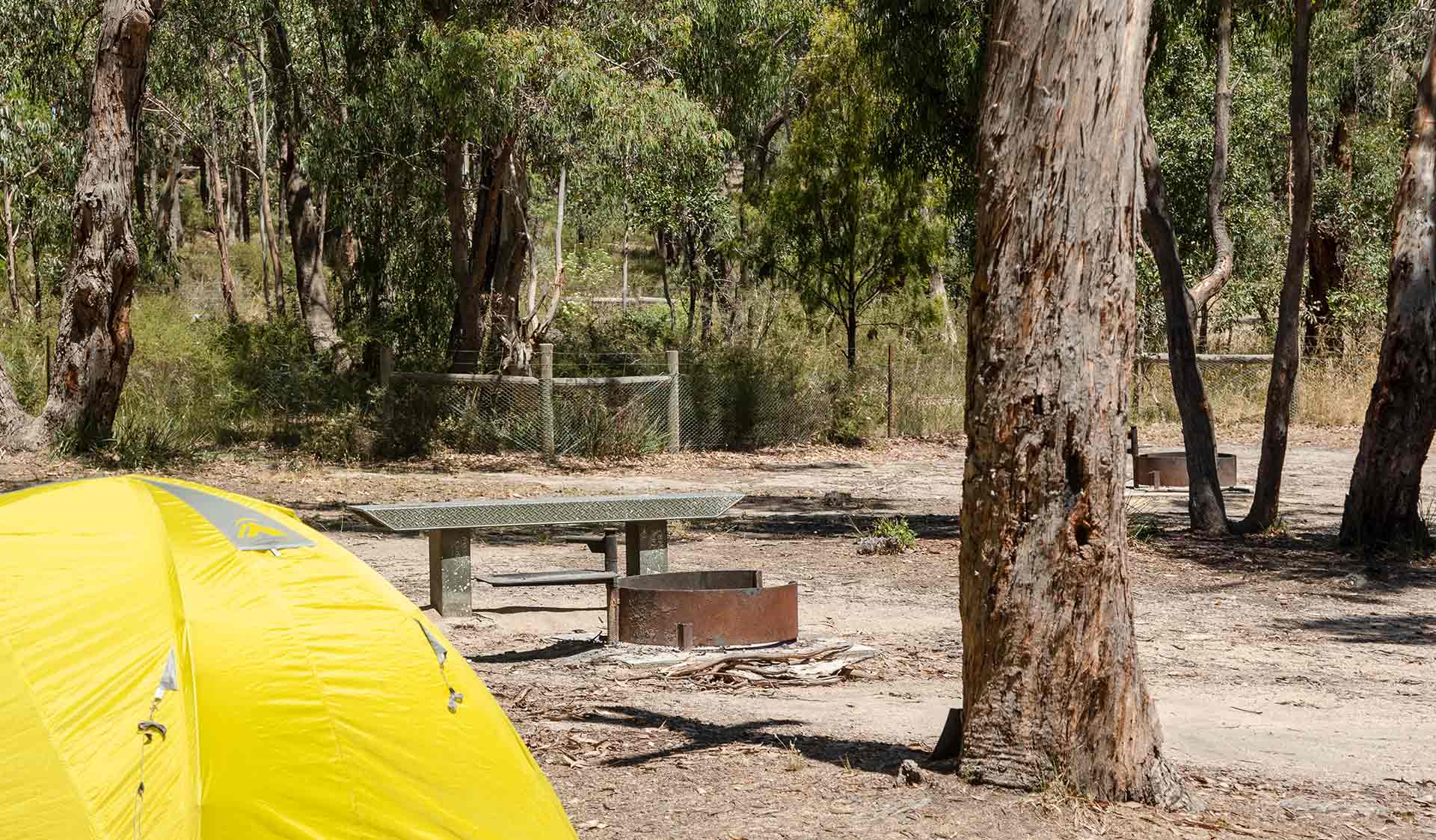 Boar Gully Campground Boar Gully Campground