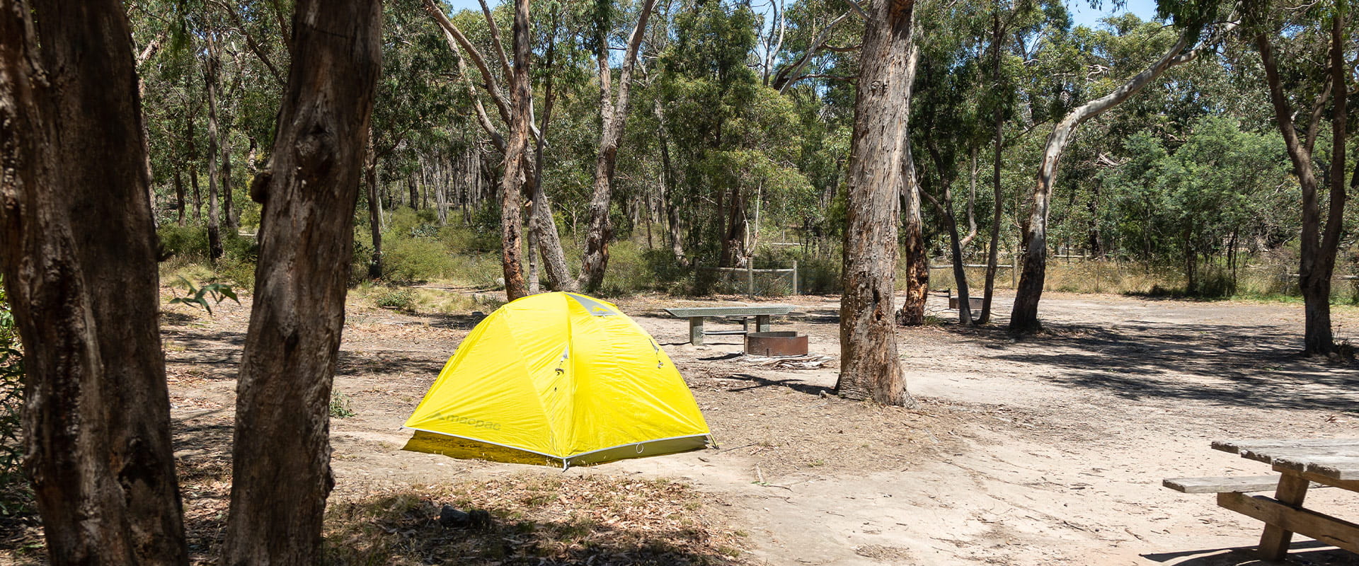 A yellow tent infront of a fire pit and bench against a background of dry forest.