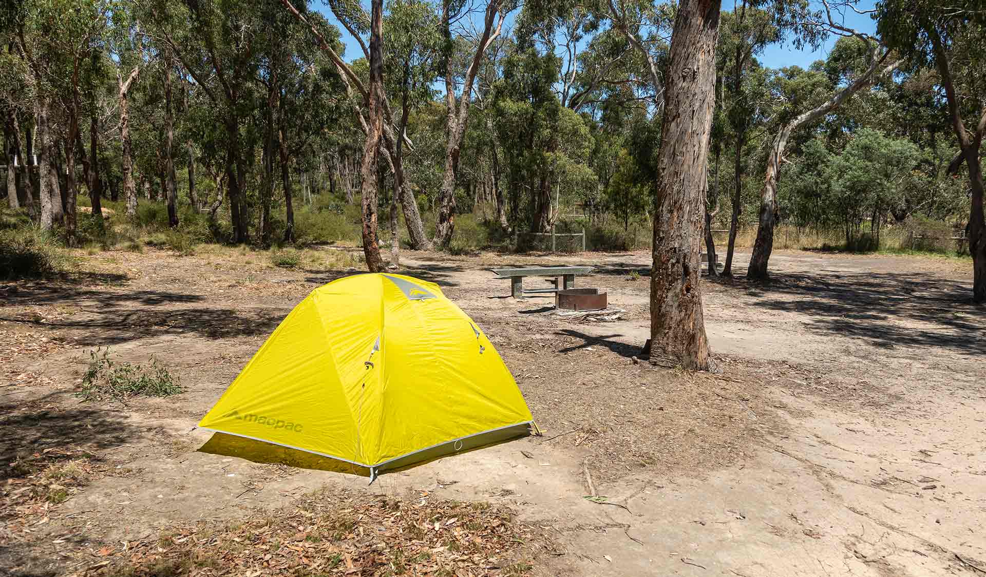 A yellow tent and campfire at Boar Gully Campground at Brisbane Ranges National Park
