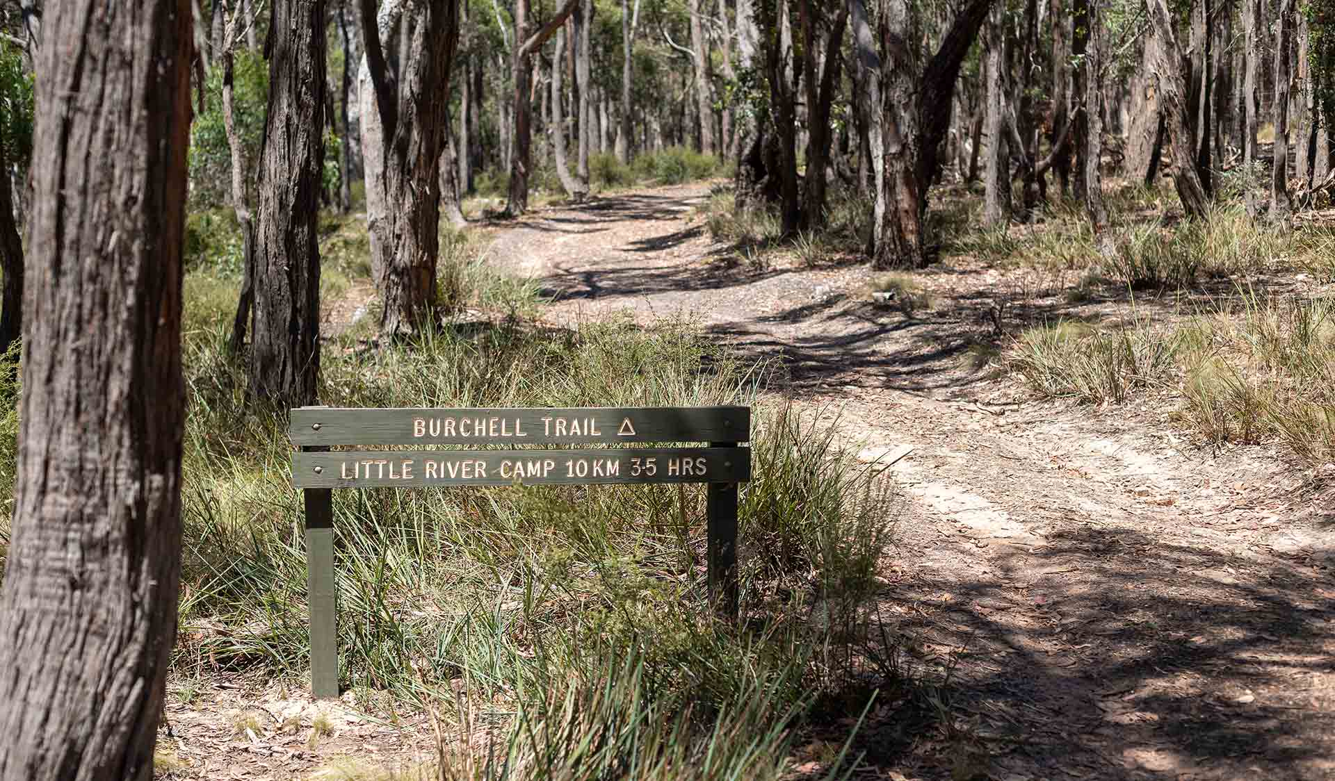 The Trailhead to the Burchell Trail at Brisbane Ranges National Park