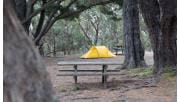 A tent and picnic table at Fridays Campground at Brisbane Ranges National Park