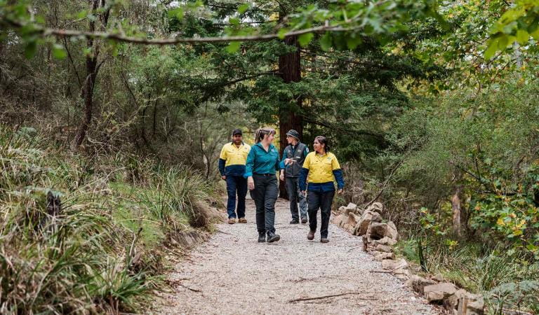 Representatives from the Gunaikurnai Land and Water Aboriginal Corporation walk and discuss with Parks Victoria Rangers at Buchan Caves Reserve.