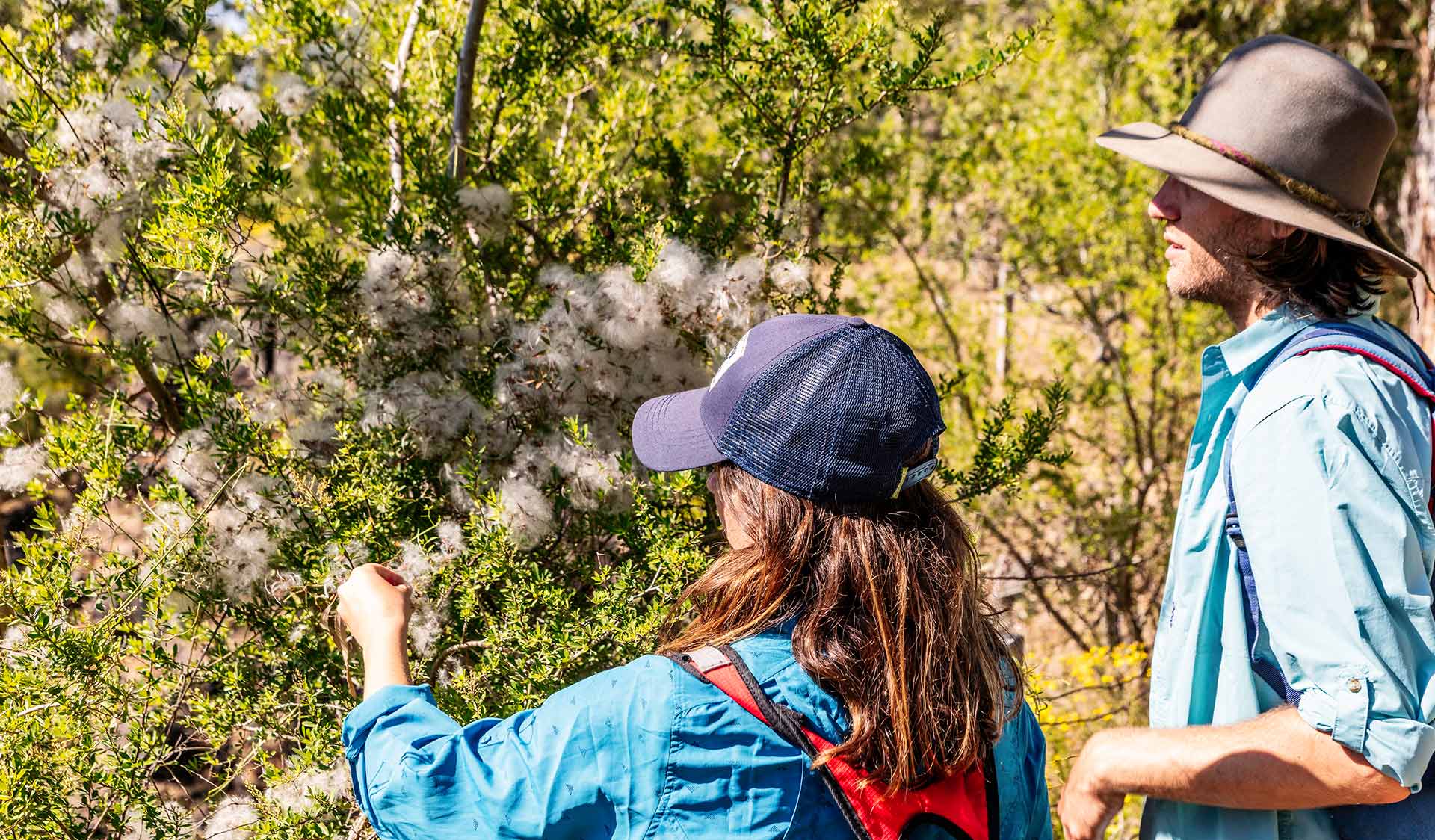A young woman and man looking at native plants