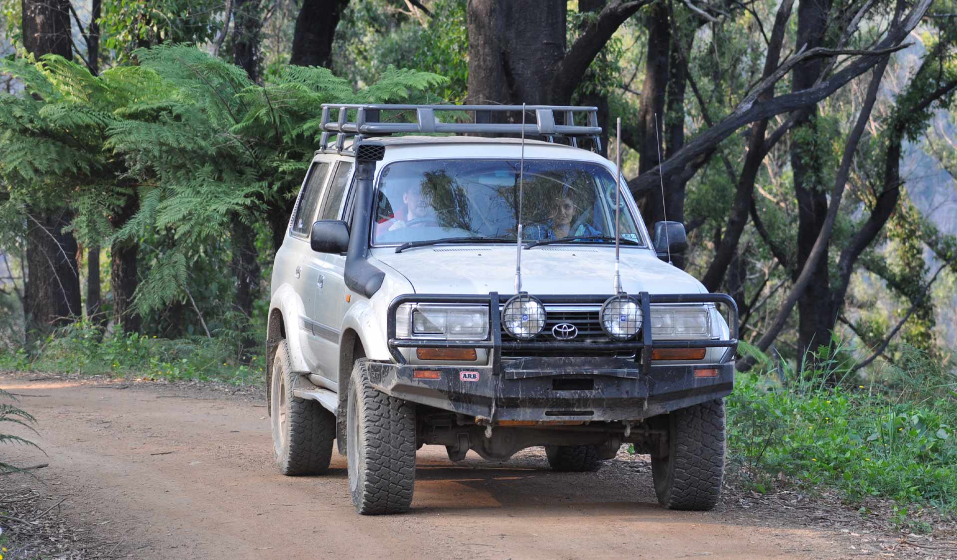 A 4WD in Bunyip State Park. 
