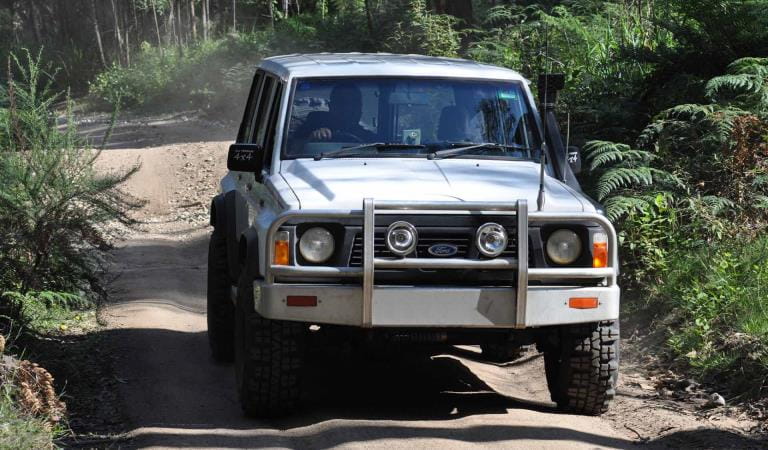 A 4WD in Bunyip State Park.