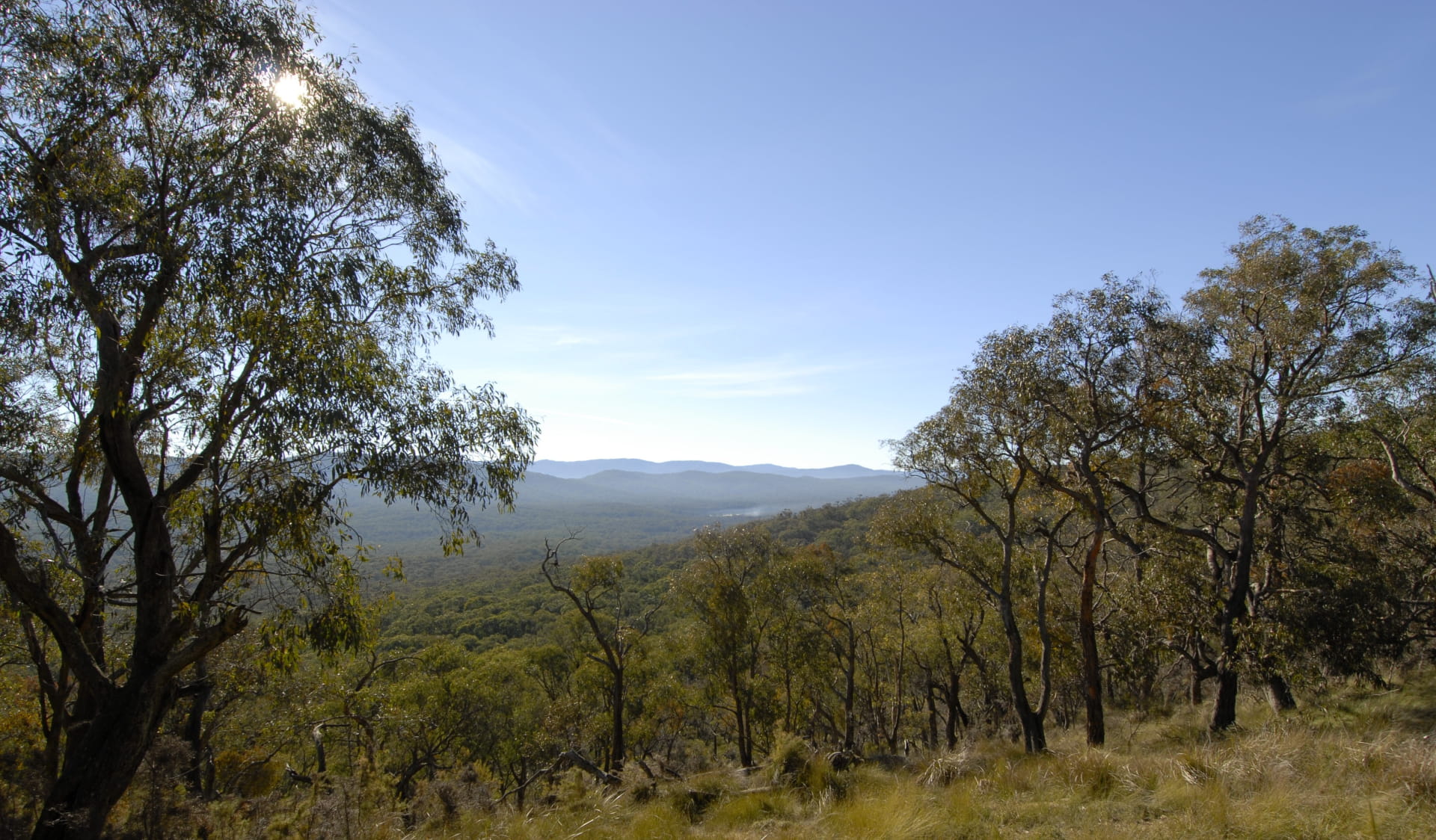 A view of Bunyip State Park