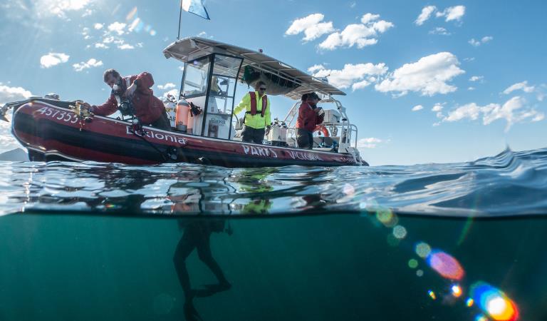 Three people in a boat on the water, with a diver under the water.