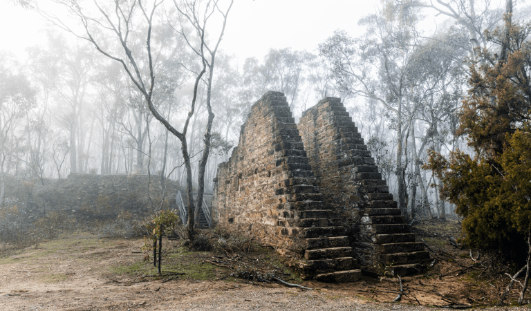 The Garfields Water Wheel surrounded by mist in Castlemaine Diggings National Heritage Park
