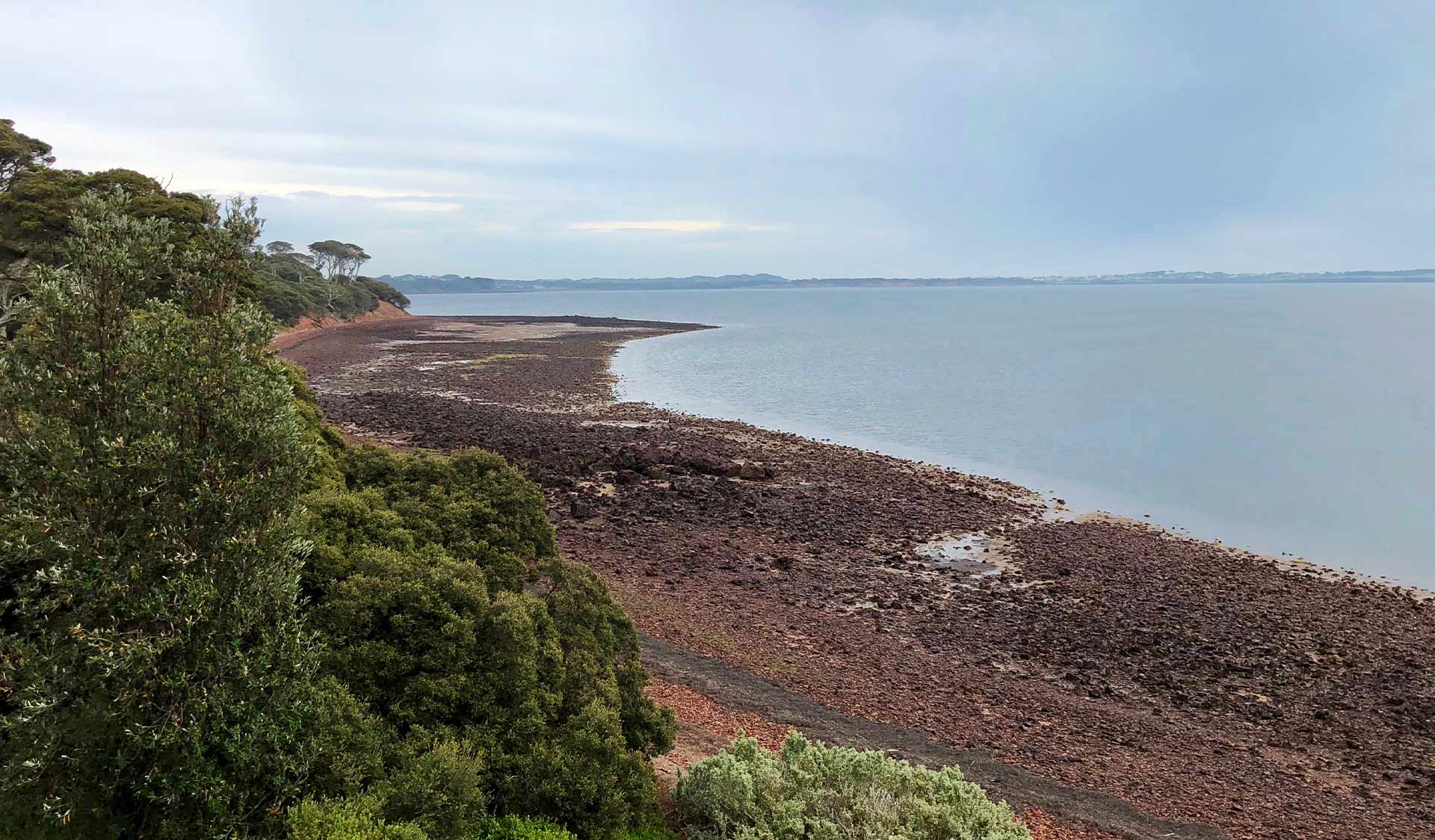 A beach at Churchill Island Marine National Park