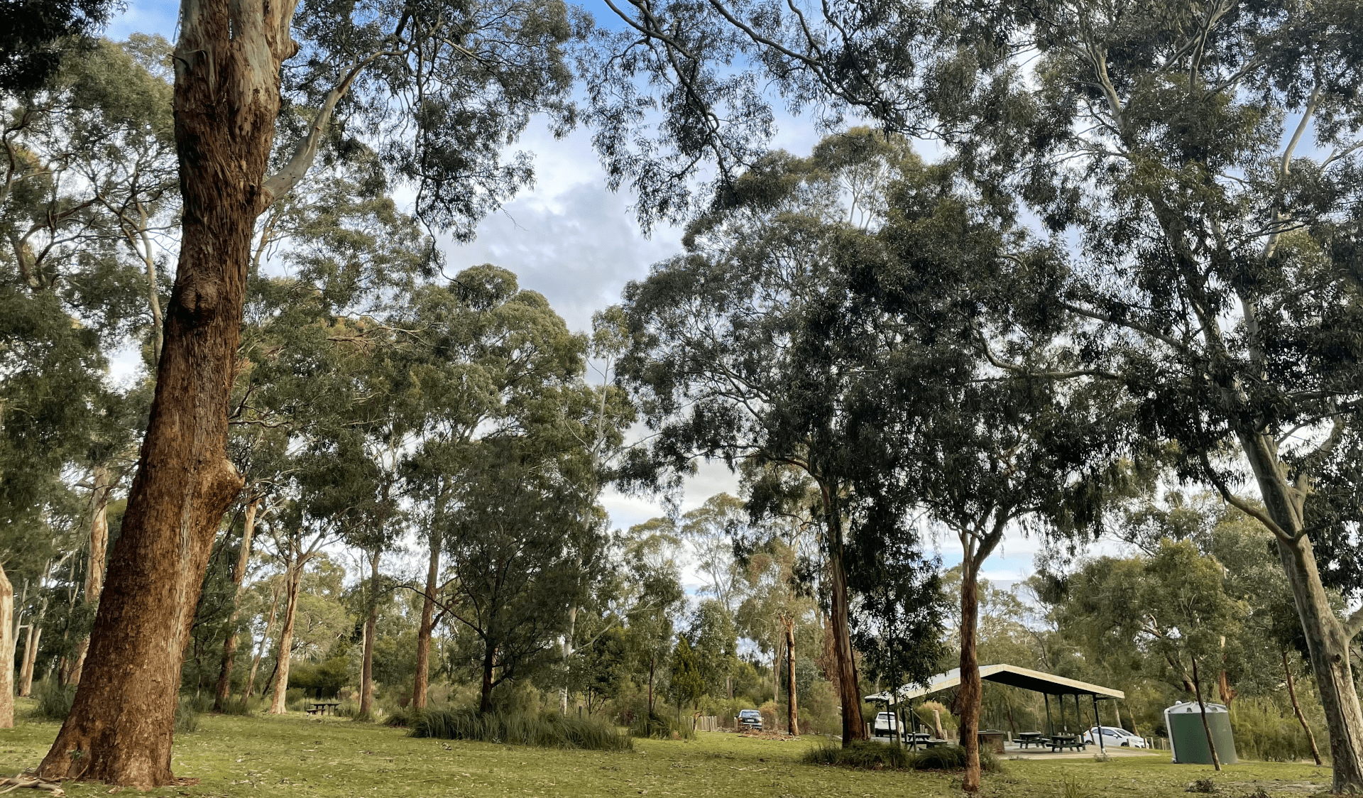 A picnic shelter surrounded by trees at Churchill National Park