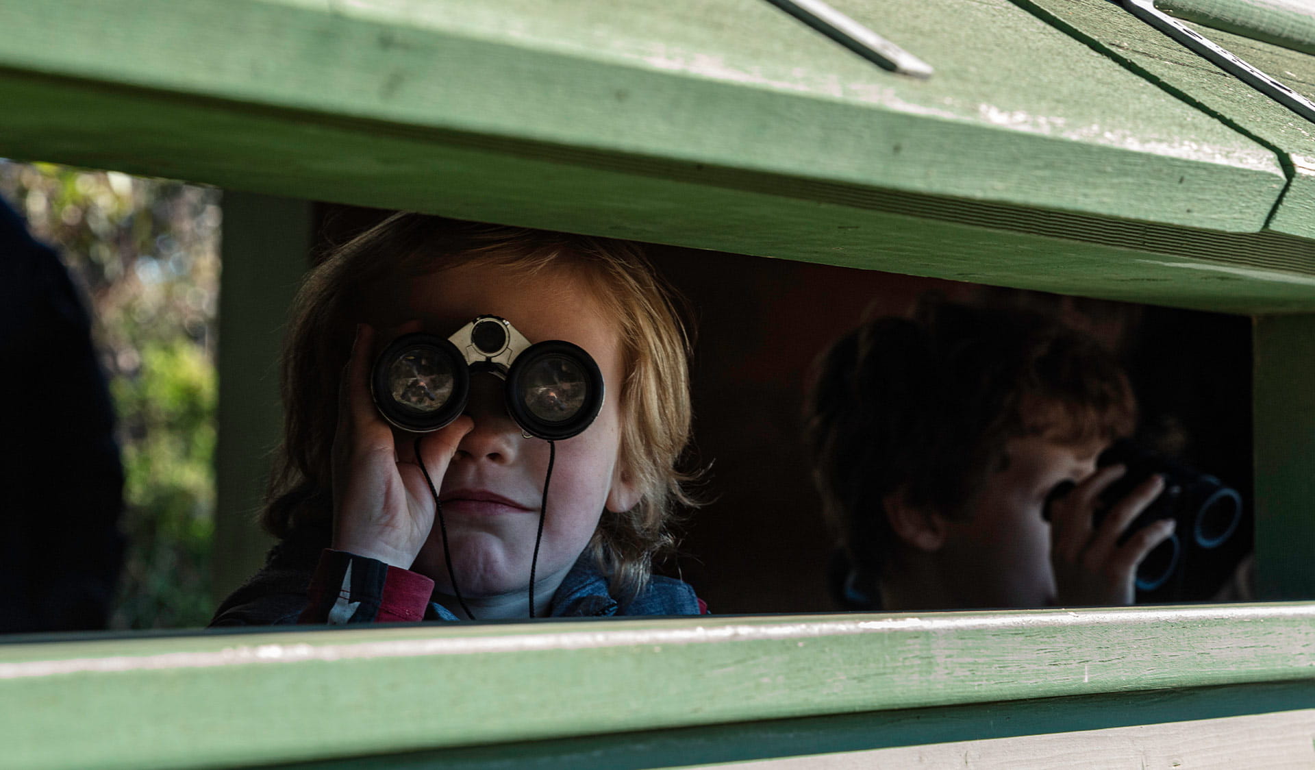 A child peers through a birdwatching hut with binoculars at Coolart Heritage Area.