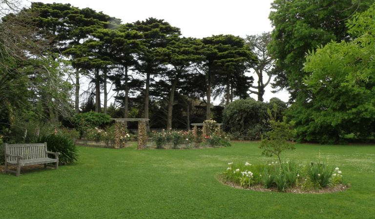 The rose garden at Coolart Heritage Area