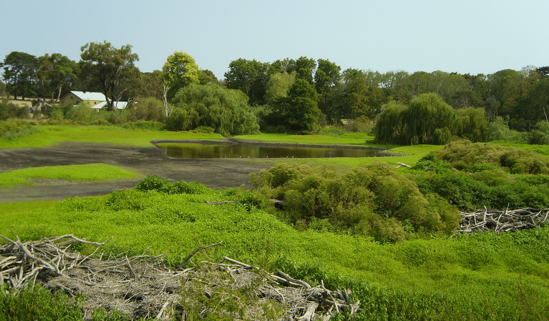 The wetlands at Coolart Heritage Area