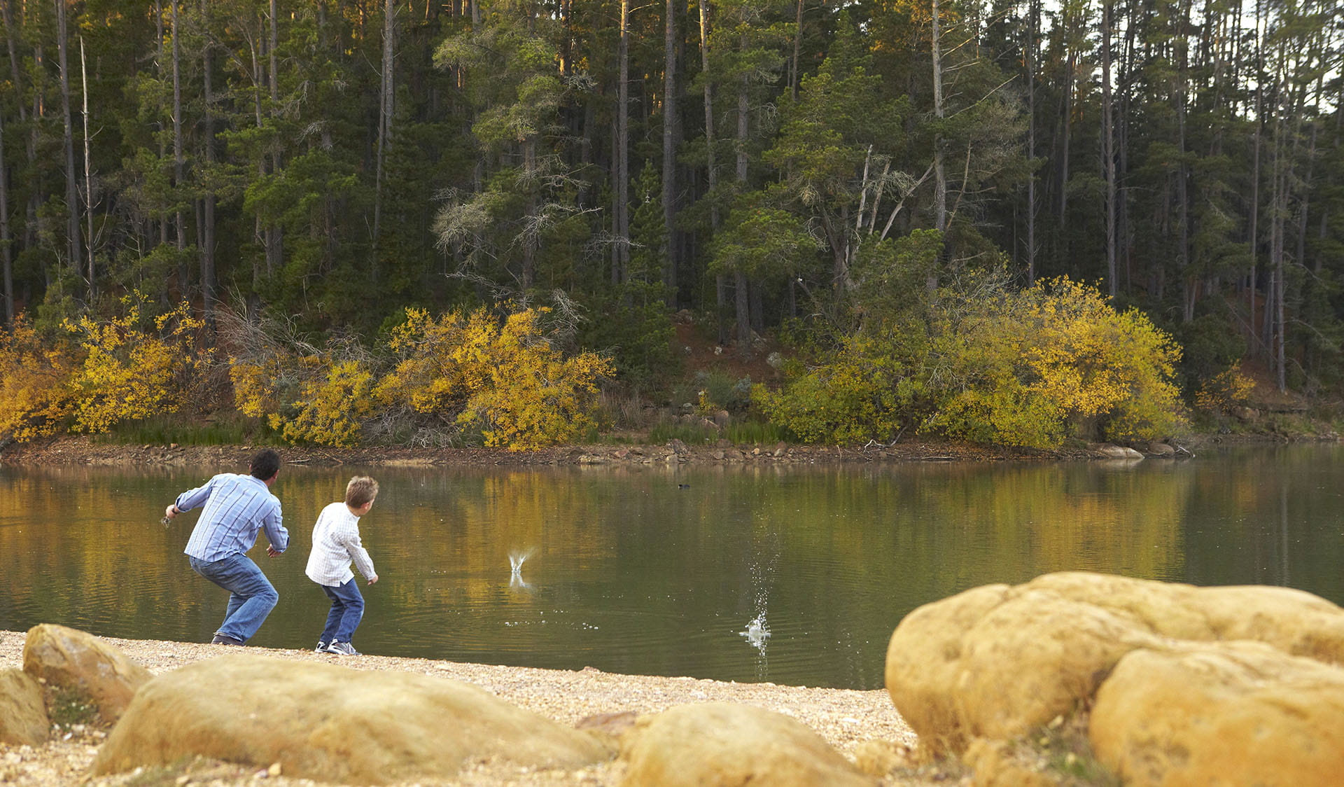 A father and son skipping rocks on St Georges Lake in Creswick Regional Park