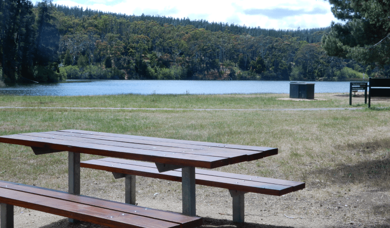 A picnic table with St Georges Lake in the background in Creswick Regional Park