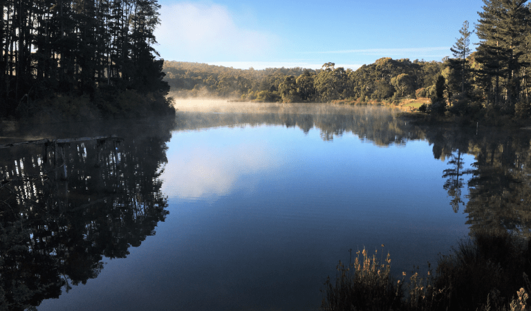 An aerial view of St Georges Lake in Creswick Regional Park