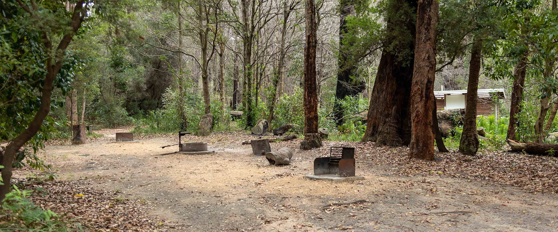 A campground setting featuring steel BBQ hotplates next to fireplaces, lined by brown tree trunks.