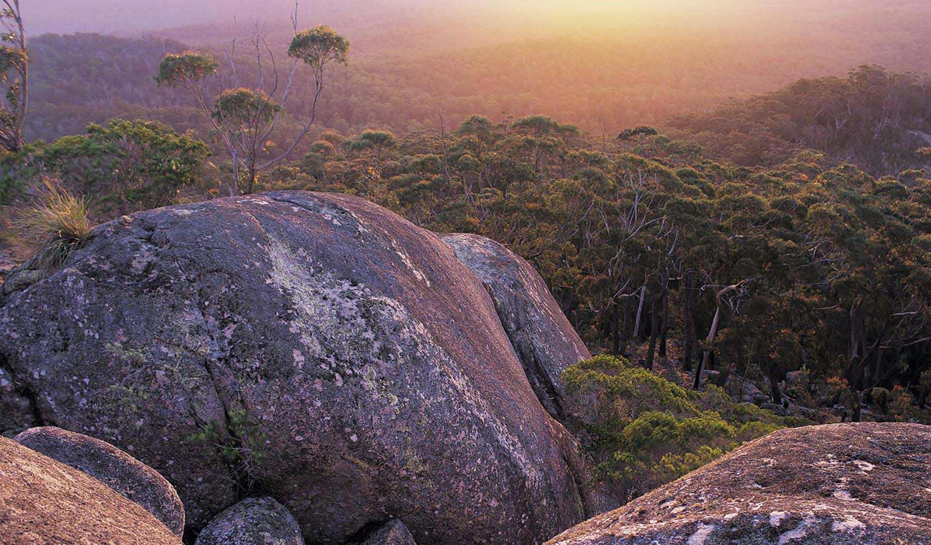 The view from Genoa Peak at sunset in the Croajingolong National Park near Mallacoota.