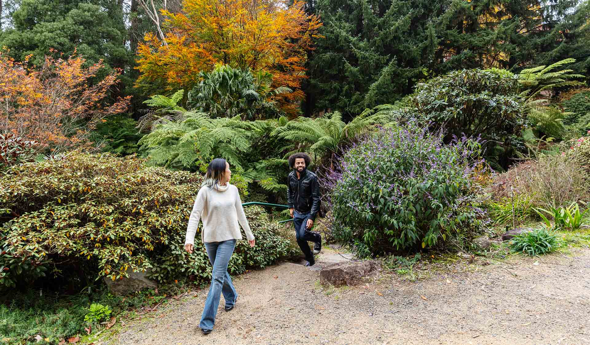 A man with an afro wearing a leather jacket follows a woman wearing a cream knitted jumper up the garden steps and into an opening in the Dandenong Ranges Botanical Gardens.