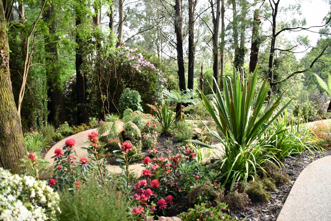 A beautiful garden bed at the new Chelsea Australia Garden at Olinda
