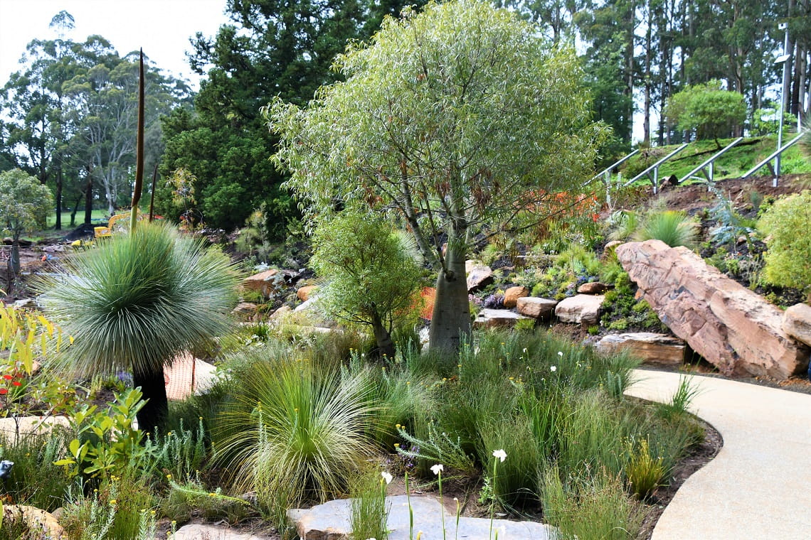 Chelsea Australian Garden at Olinda under construction October 2022_2