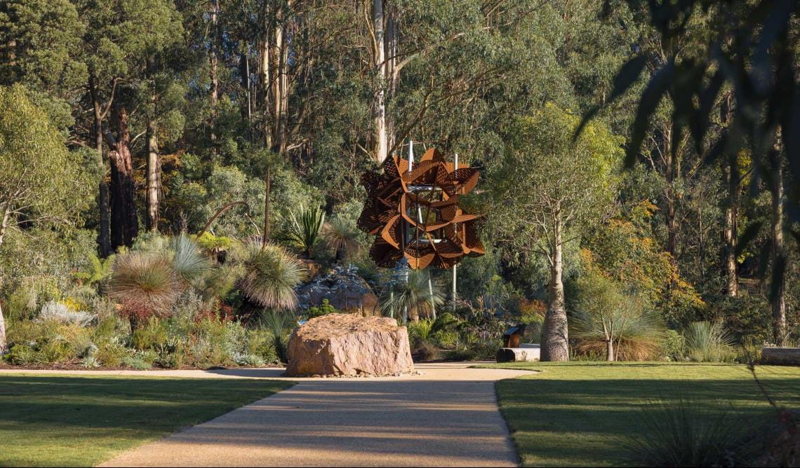 A landscaped garden with winding paths, a large pond and filled with mature native Australian plants. 