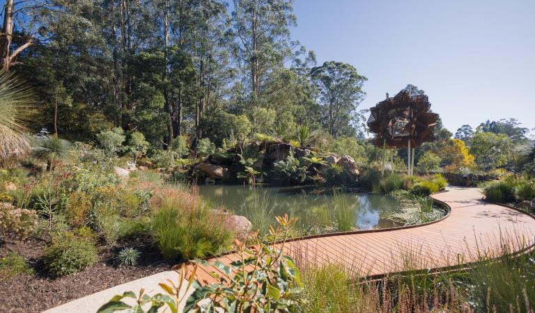 A landscaped garden with winding paths, a large pond and filled with mature native Australian plants. 