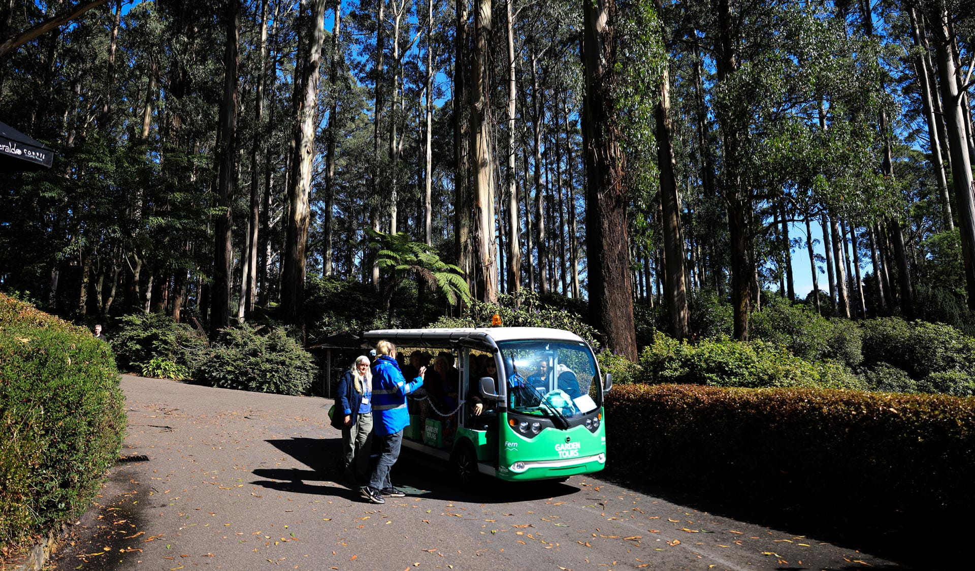 Visitors getting on bus tour at Dandenong Ranges Botanic Garden.