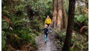 A three year old boy leads his mum and younger brother through the forest near Grants Picnic Ground.