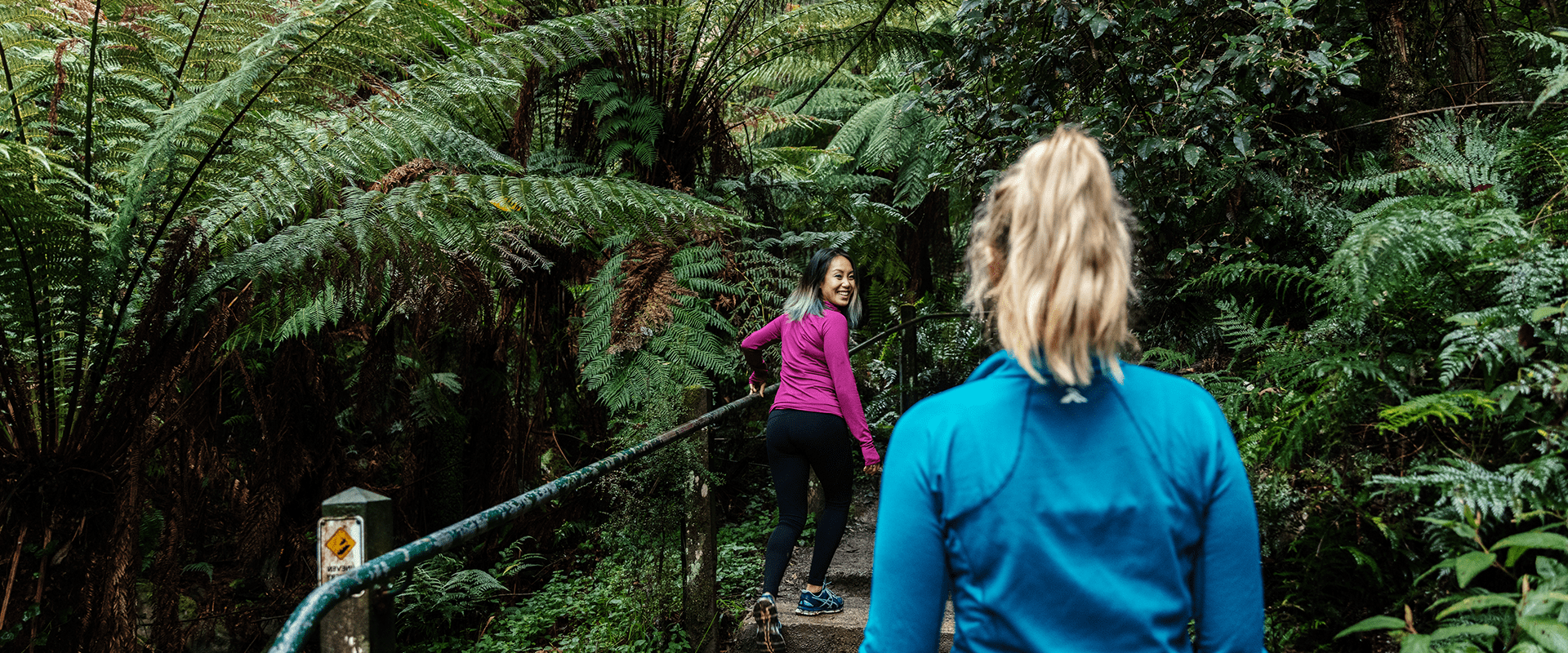 Two females enjoying the walk up the 1000 steps trail they are surrounded by stunning lush tree ferns and tall forest.