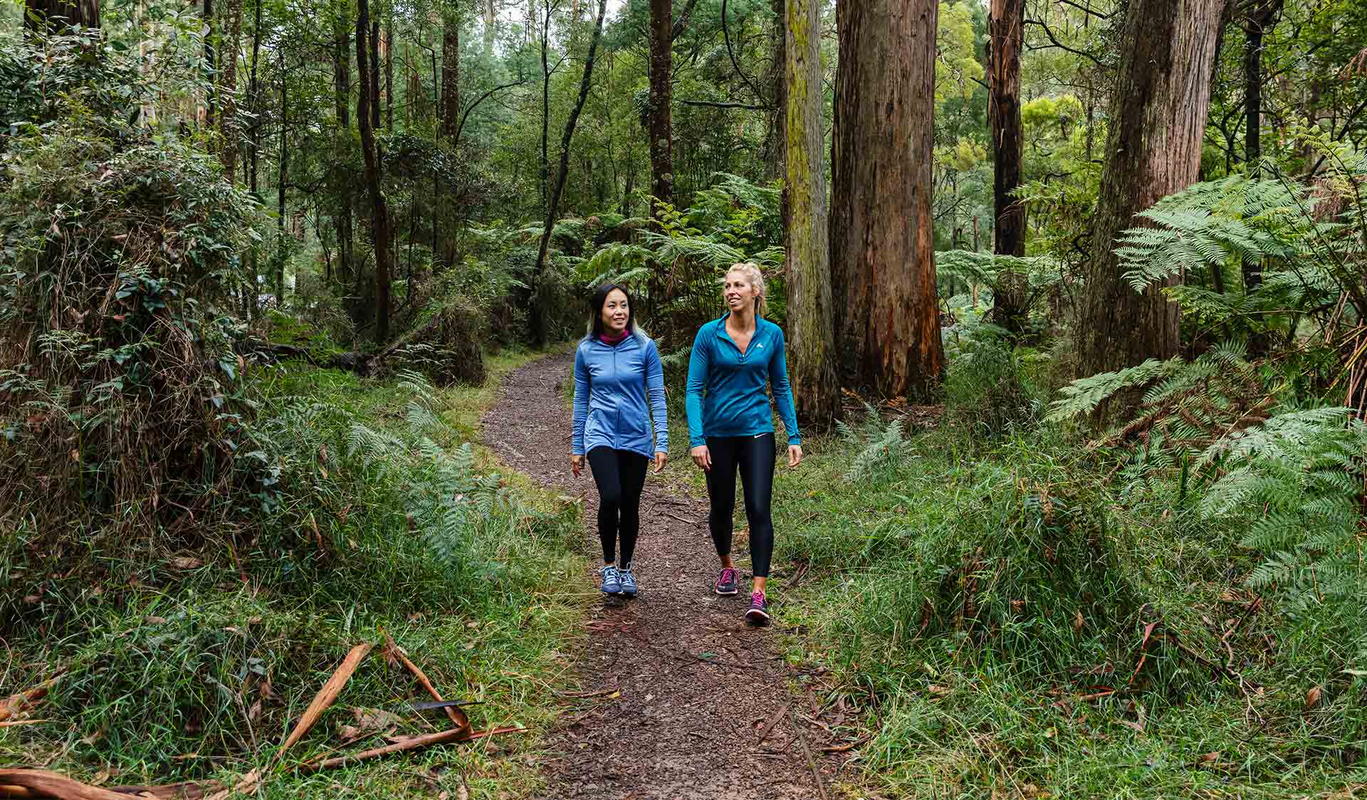 Two women in activewear follow a path through tall mountain ash trees.