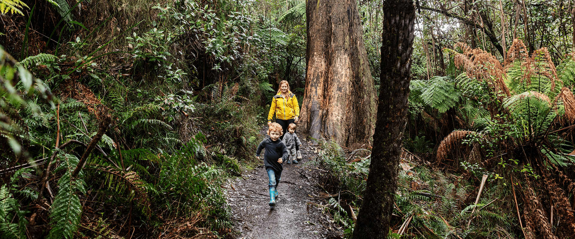 Mother and children walking in forest scene surrounded by tall forest and ferns.