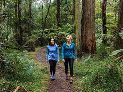 Two women in activewear follow a path through tall mountain ash trees.