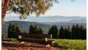 The view from the RJ Hamer Arboretum in the Dandenong Ranges National Park. 