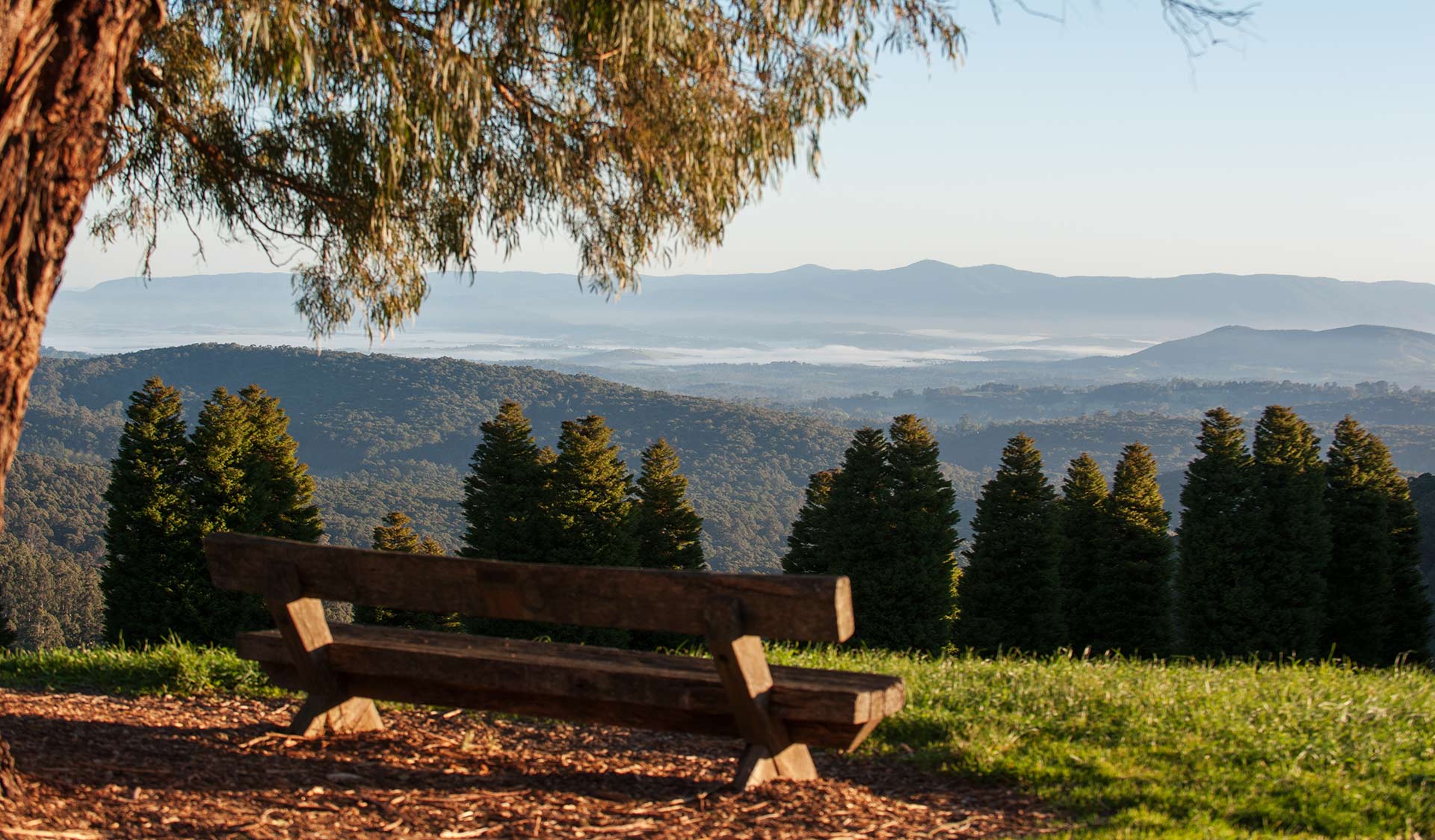 The view from the RJ Hamer Arboretum in the Dandenong Ranges National Park. 