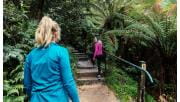 Two women walk up the 1000 steps track.