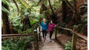 Two women walk up the 1000 steps track.