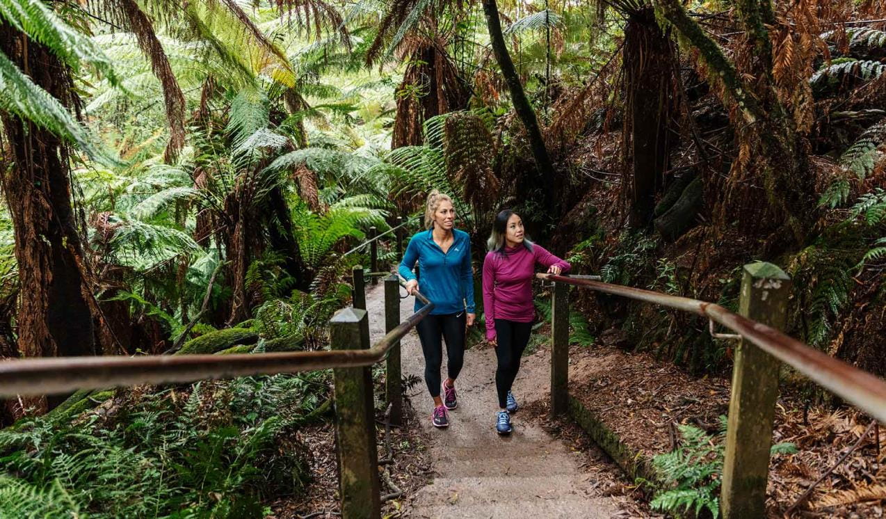 Two women walk up the 1000 steps track.