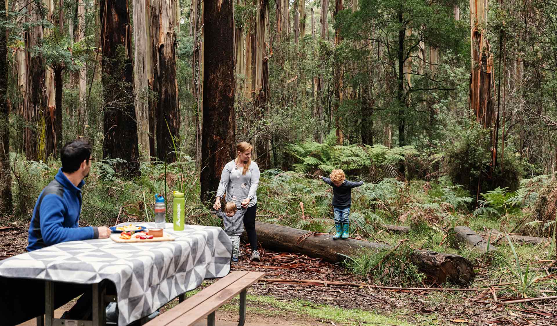 A mother and her two sons play on a log while her partner sits at a picnic table looking on. 